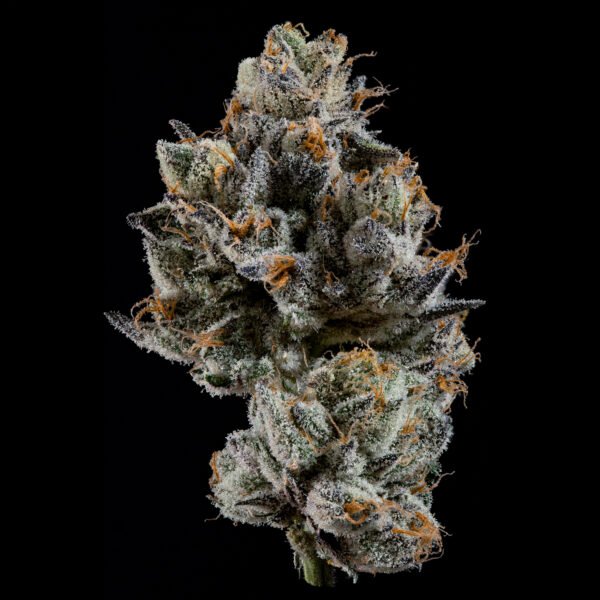CALI TINGS - Imagen 2
