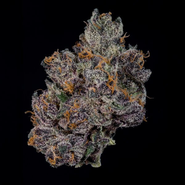 GRAND PRIXX - Imagen 2