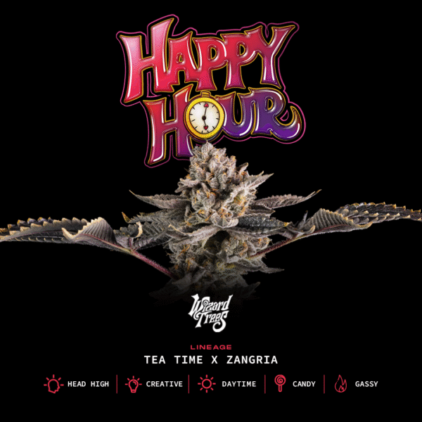 HAPPY HOUR
