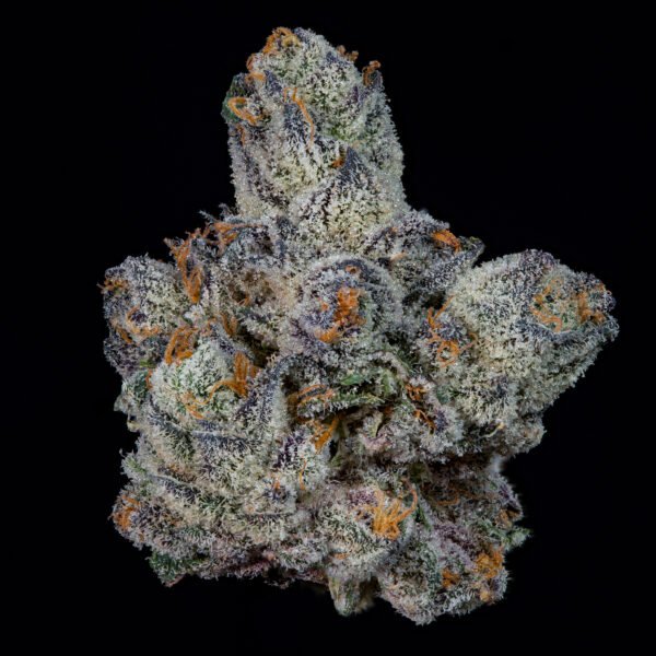 LEMON FEVER - Imagen 4