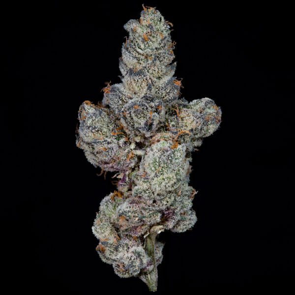 LEMON FEVER - Imagen 3
