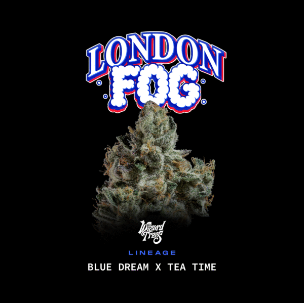 LONDON FOG