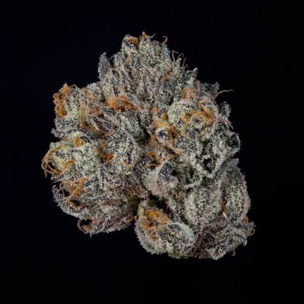 PROPA CANDY - Imagen 2