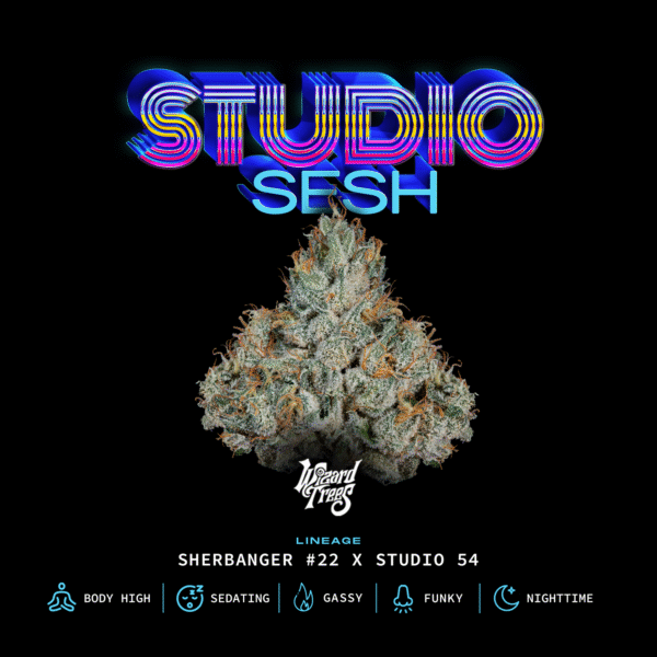 STUDIO SESH