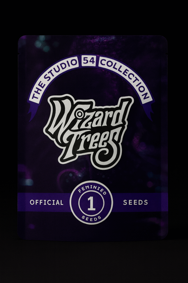 Studio Cherry 1 Seed