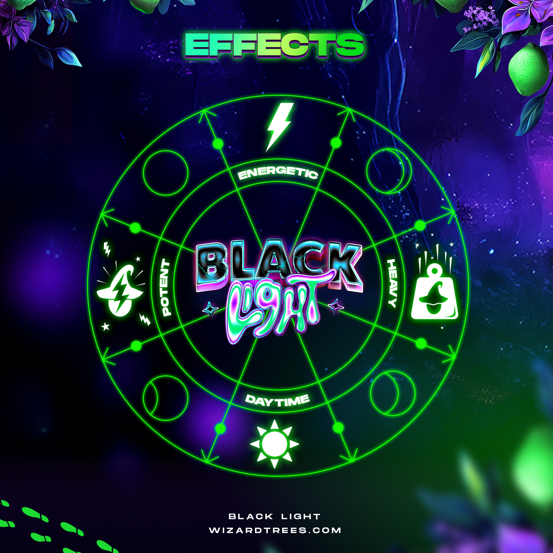 Black Light - Image 3