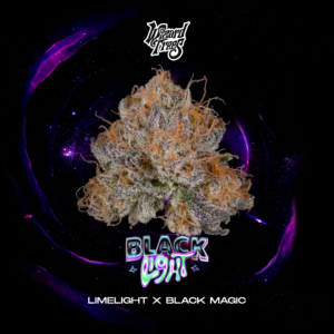Black Light